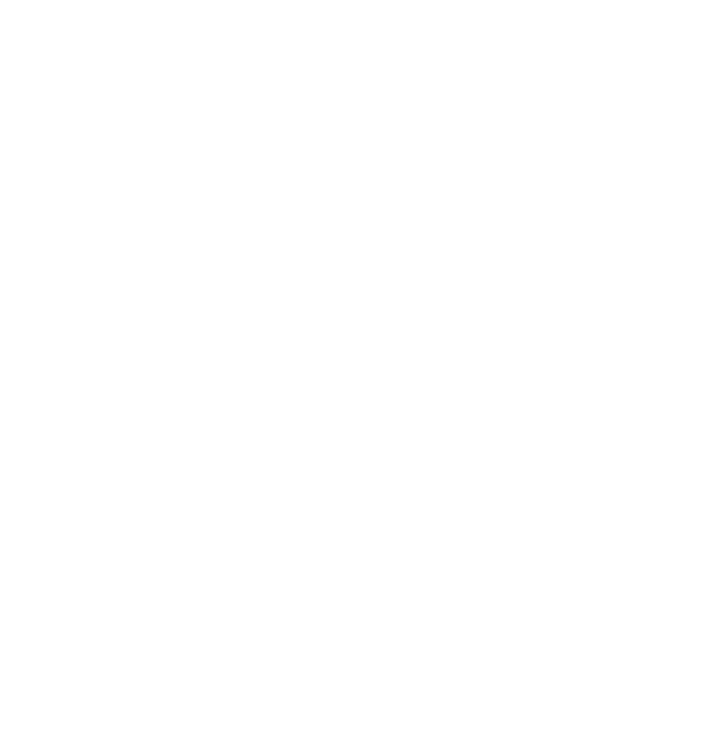 Max e-Clean